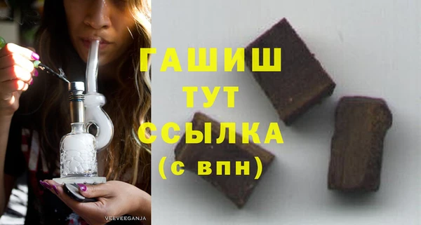 гашик Алексин