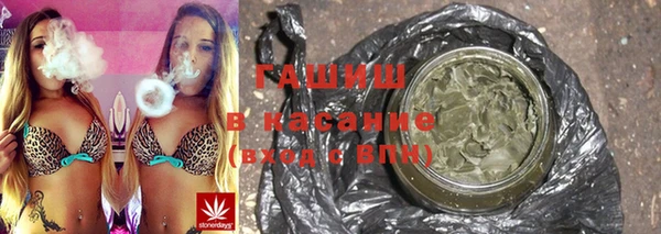 гашик Алексин