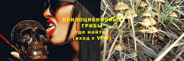 гашик Алексин