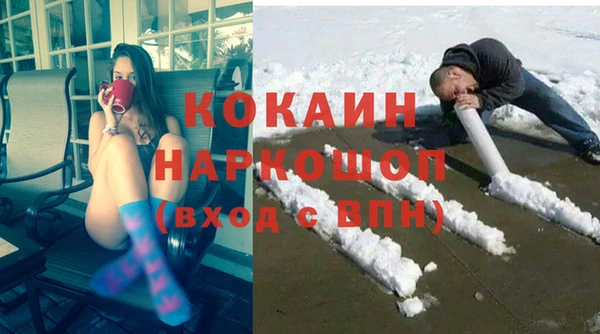 гашик Алексин