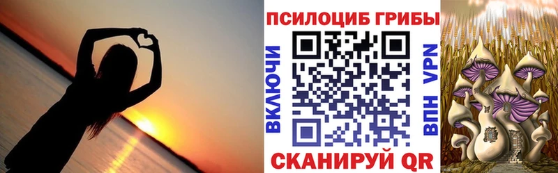 гидра ССЫЛКА  Дзержинск  Псилоцибиновые грибы Psilocybine cubensis 