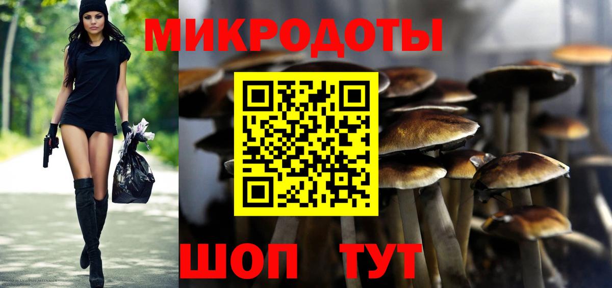 Псилоцибиновые грибы Cubensis  Вход с VPN  Дзержинск 